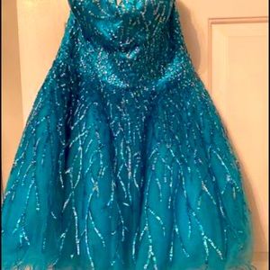 Formal prom or gala dress. Special occasion dress.